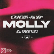 Molly (Will Sparks Remix)