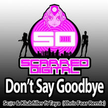 Don't Say Goodbye (Chris Fear Remix)