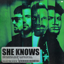 She Knows (Piero Pirupa Remix)