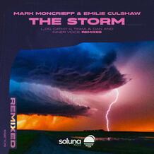 The Storm Remixed