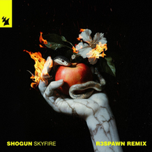 Skyfire (R3SPAWN Remix)
